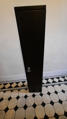 Air rifle cabinet gun safe - air,